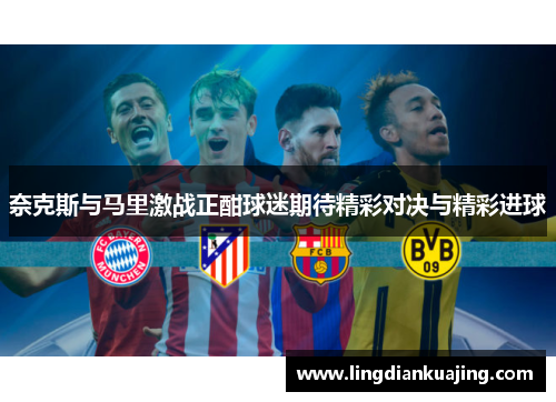 奈克斯与马里激战正酣球迷期待精彩对决与精彩进球